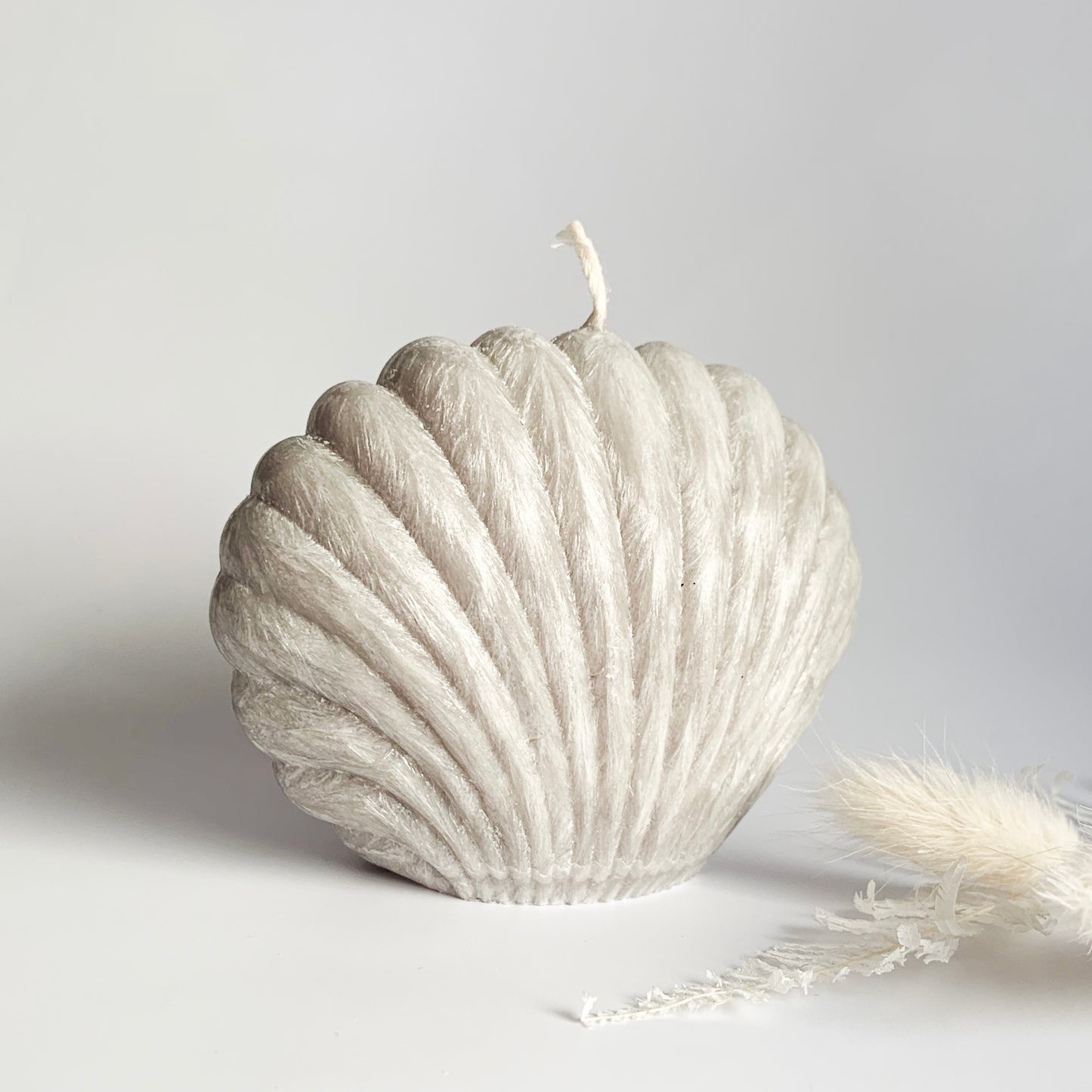 Clam Shell Sculpture Candle