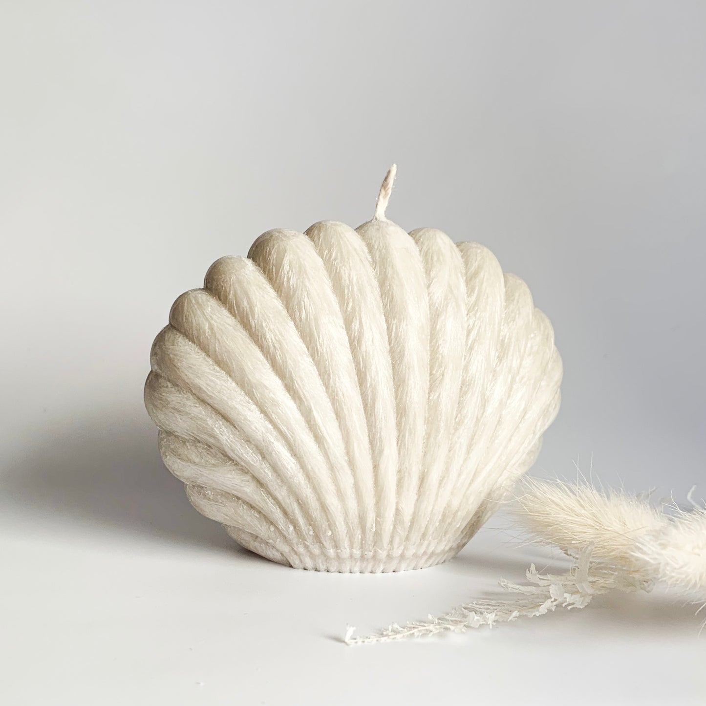 Clam Shell Sculpture Candle