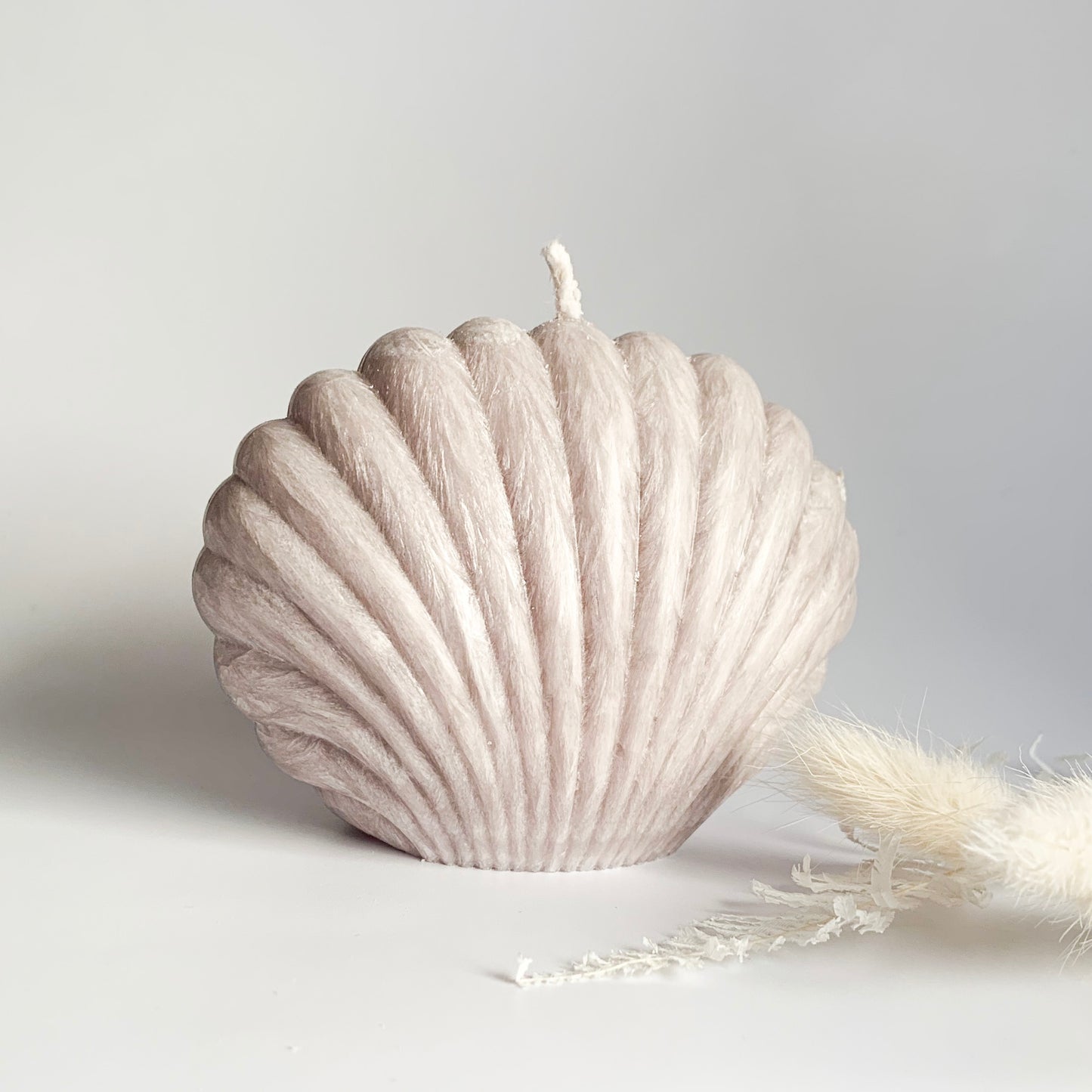 Clam Shell Sculpture Candle