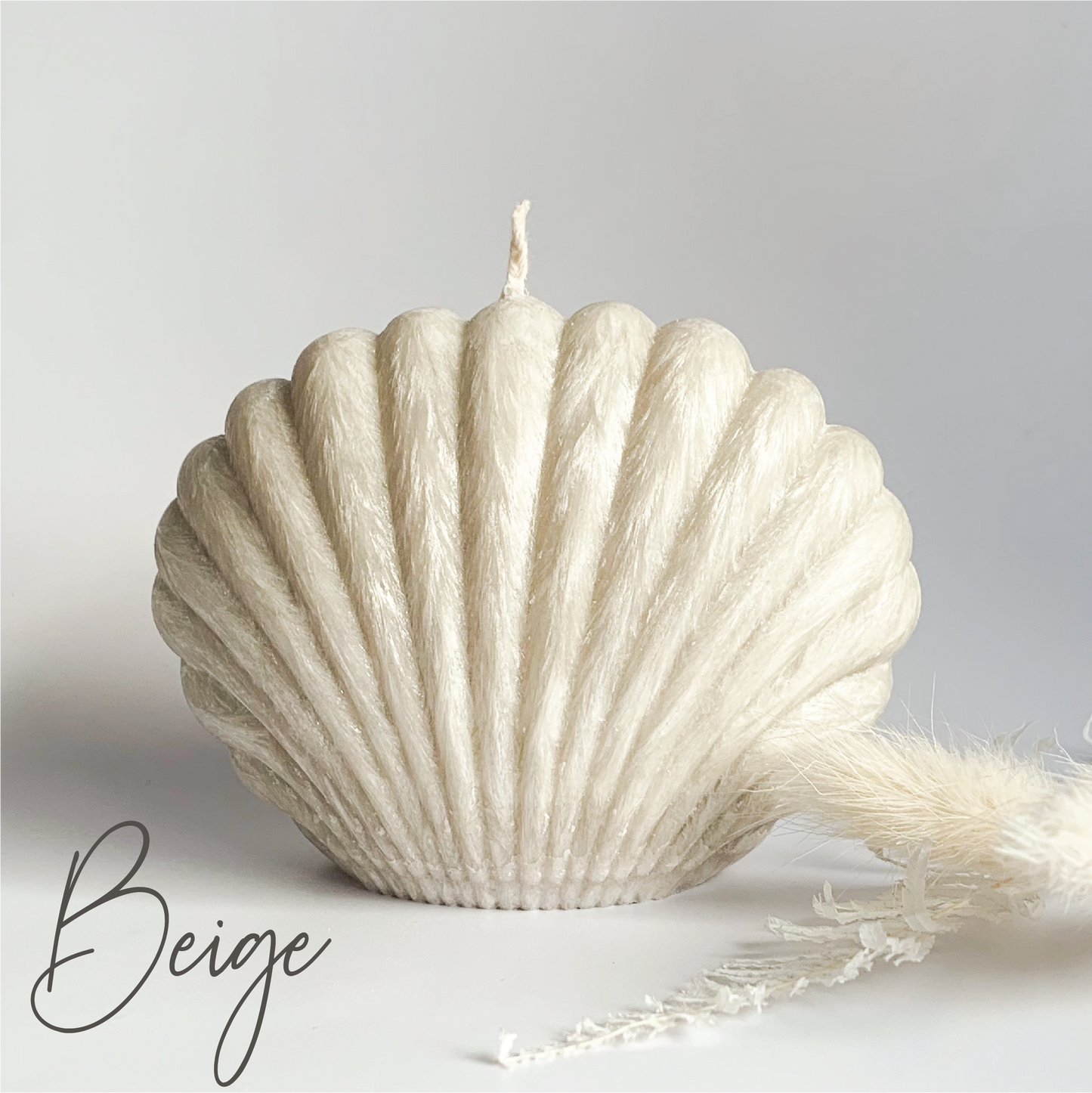 Clam Shell Sculpture Candle