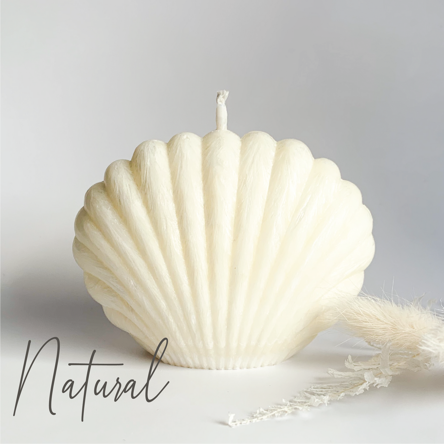 Clam Shell Sculpture Candle